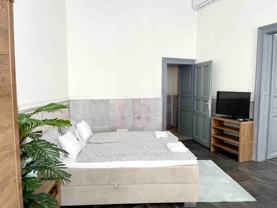 D3 Basilica Luxury Spacious Free Parking For 1 Car Budapest Exterior foto